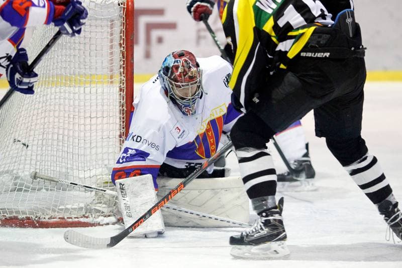 Ice Hockey. Polska Hokej Liga. Tempish Polonia Bytom - JKH GKS Jastrzebie. 20.01.2017