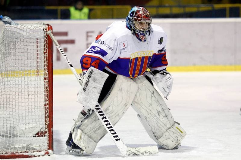 Ice Hockey. Polska Hokej Liga. Tempish Polonia Bytom - JKH GKS Jastrzebie. 20.01.2017