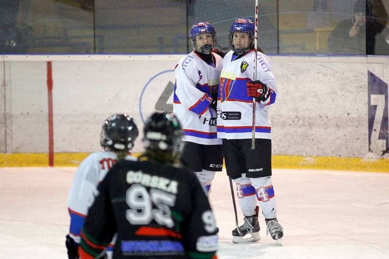 Ice Hockey. PLHK. Polonia Bytom - Atomowki Tychy. 27.01.2017