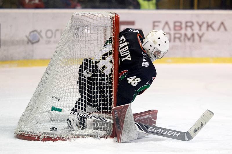 Ice Hockey. Polska Hokej Liga. Tempish Polonia Bytom - GKS Tychy. 15.02.2017