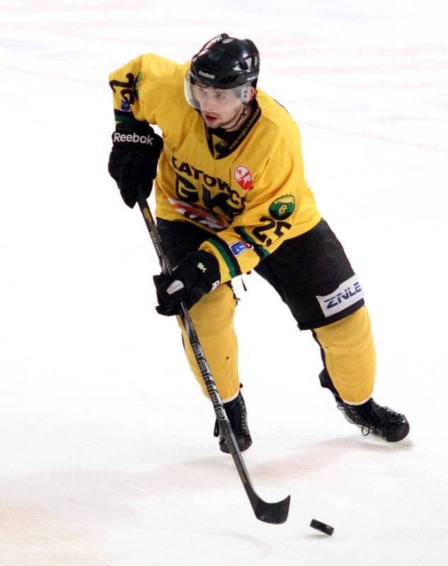 Ice Hockey. Polska Hokej Liga. HC GKS Katowice - KTH Krynica. 21.02.2014
