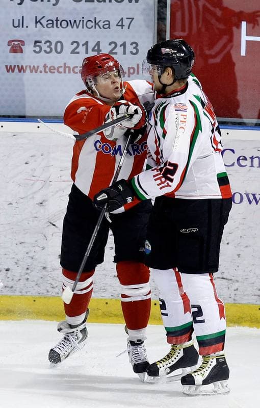 Ice Hockey. Polska Hokej Liga. GKS Tychy - Comarch Cracovia Krakow. 19.01.2014