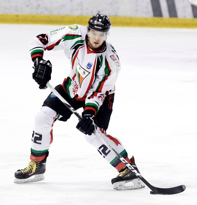 Ice Hockey. Polska Hokej Liga. GKS Tychy - Comarch Cracovia Krakow. 19.01.2014