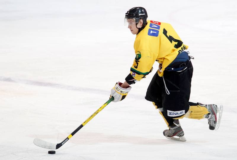 Ice Hockey. Polska Hokej Liga. HC GKS Katowice - KTH Krynica. 21.02.2014