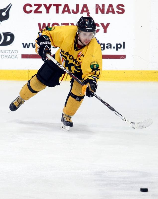 Ice Hockey. Polska Hokej Liga. HC GKS Katowice - KTH Krynica. 21.02.2014
