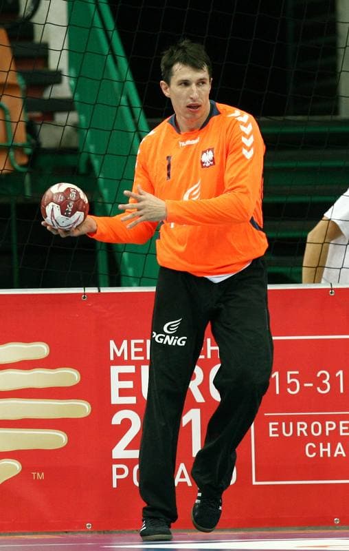 Football. International Friendly. Poland - Czech Republic. 17.11.2015