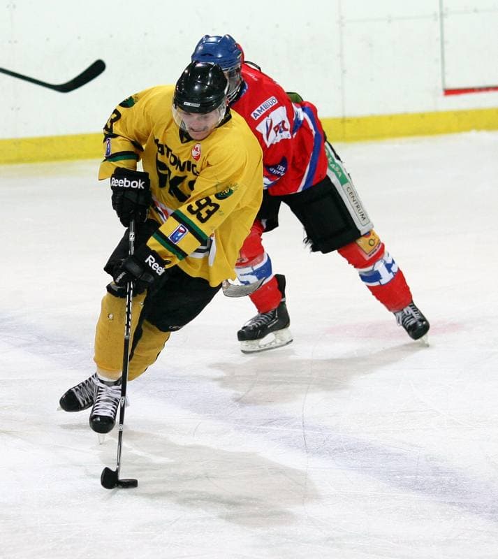 Ice Hockey. Tauron Hokej Liga. HC GKS Katowice - Polonia Bytom. 02.01.2015