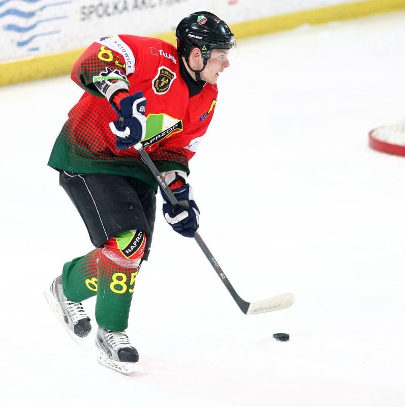 Ice Hockey. Polska Hokej Liga. HC GKS Katowice - Naprzod Janow. 10.02.2015