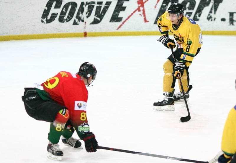 Ice Hockey. Polska Hokej Liga. HC GKS Katowice - Naprzod Janow. 10.02.2015