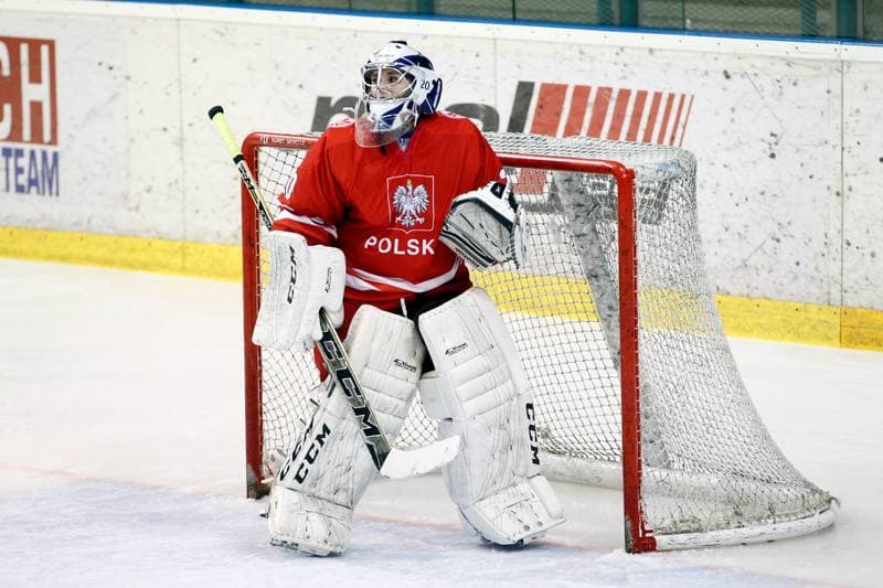Ice Hockey. Women's Friendly Match. Poland - Ontario. 04.04.2017
