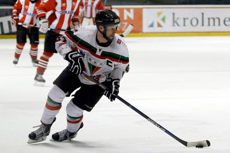 Ice Hockey. Polska Hokej Liga. GKS Tychy - Comarch Cracovia Krakow. 26.01.2016