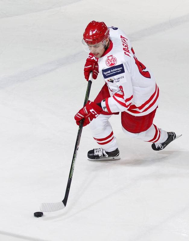 Ice Hockey. International Friendly Match. Poland - Lithuania. 14.04.2016