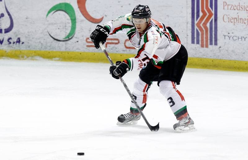 Ice Hockey. Polska Hokej Liga. GKS Tychy - Ciarko KH Sanok. 23.01.2015