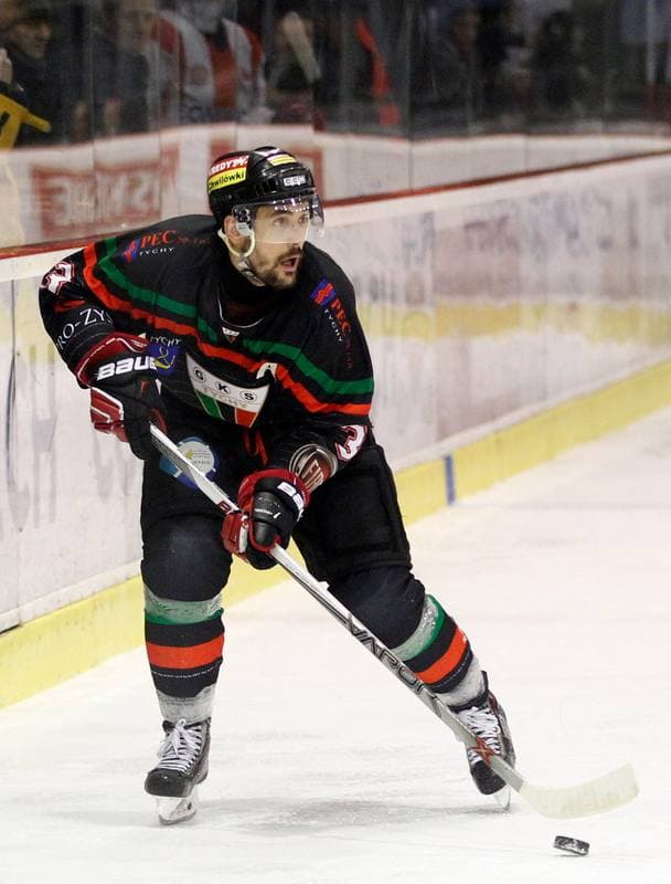 Ice Hockey. Polish Hockey League. Comarch Cracovia - GKS Tychy. 22.03.2016