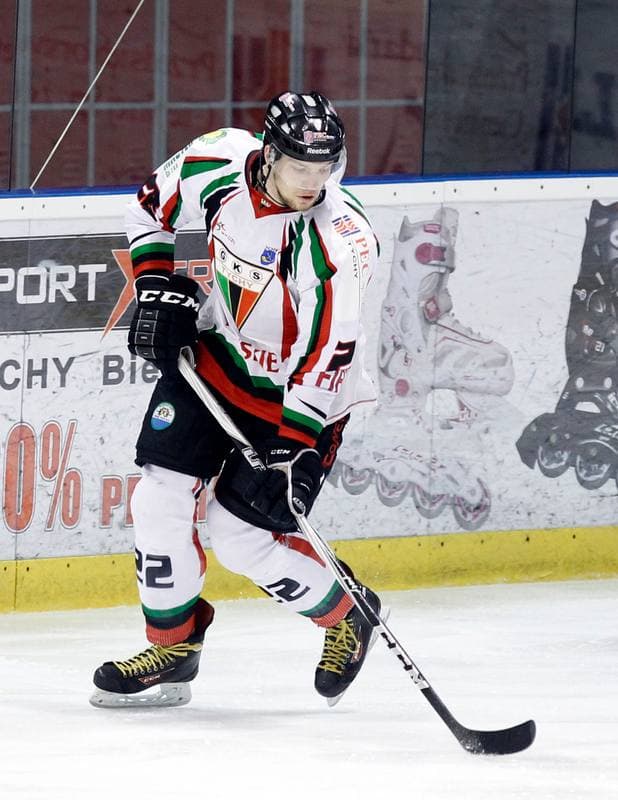 Ice Hockey. Polska Hokej Liga. GKS Tychy - Comarch Cracovia Krakow. 19.01.2014