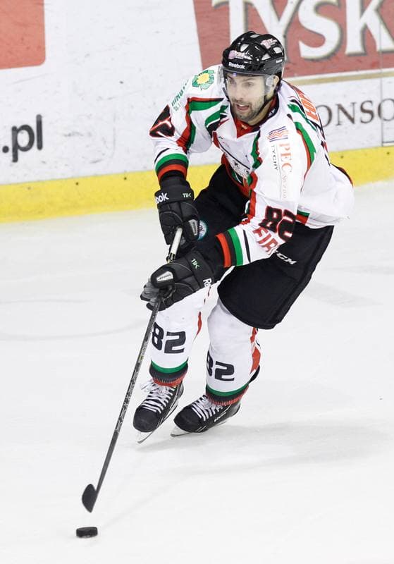 Ice Hockey. Polska Hokej Liga. GKS Tychy - Comarch Cracovia Krakow. 19.01.2014
