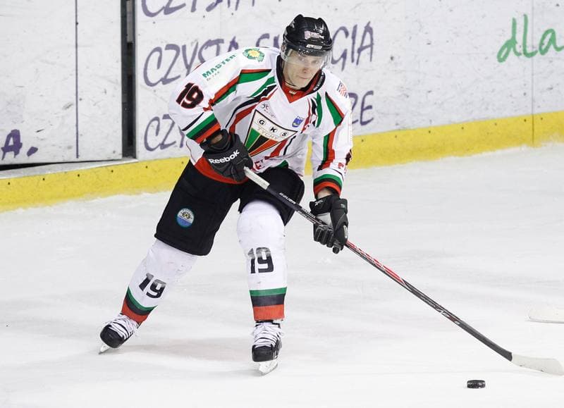 Ice Hockey. Polska Hokej Liga. GKS Tychy - Comarch Cracovia Krakow. 19.01.2014