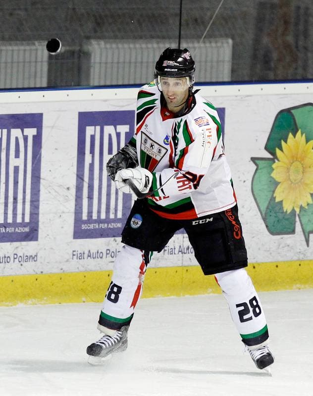 Ice Hockey. Polska Hokej Liga. GKS Tychy - Ciarko KH Sanok. 23.01.2015