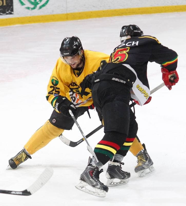 Ice Hockey. Polska Hokej Liga. HC GKS Katowice - KTH Krynica. 21.02.2014