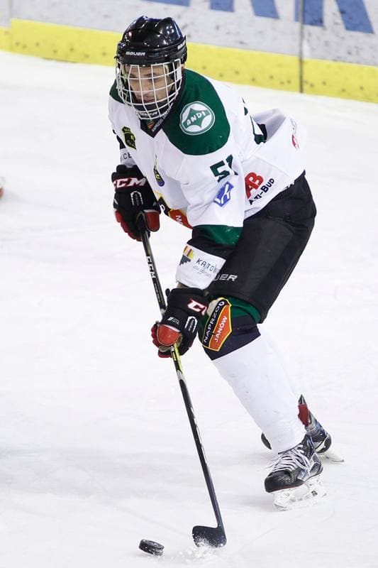 Ice Hockey. I Liga. Naprzod Janow - UKH Debica. 12.02.2017