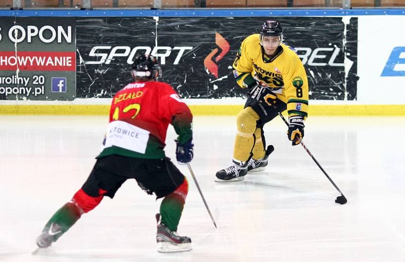 Ice Hockey. Polska Hokej Liga. HC GKS Katowice - Naprzod Janow. 10.02.2015
