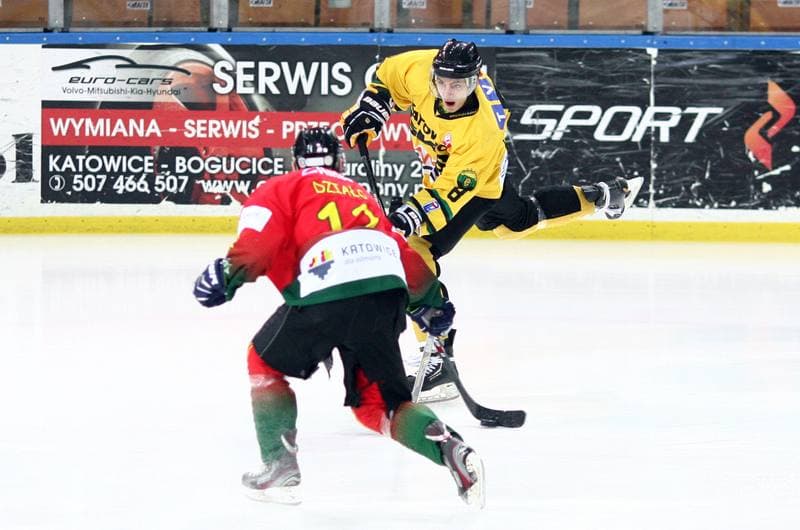 Ice Hockey. Polska Hokej Liga. HC GKS Katowice - Naprzod Janow. 10.02.2015