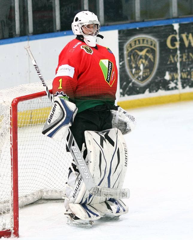 Ice Hockey. Polska Hokej Liga. HC GKS Katowice - Naprzod Janow. 10.02.2015