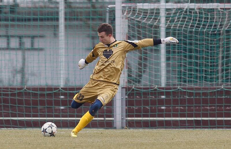 Football. Friendly Match. FC Hradec Kralove - GKS Katowice. 14.02.2015