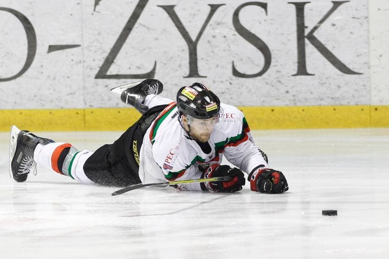 Ice Hockey. Polska Hokej Liga. GKS Tychy - Comarch Cracovia Krakow. 26.01.2016