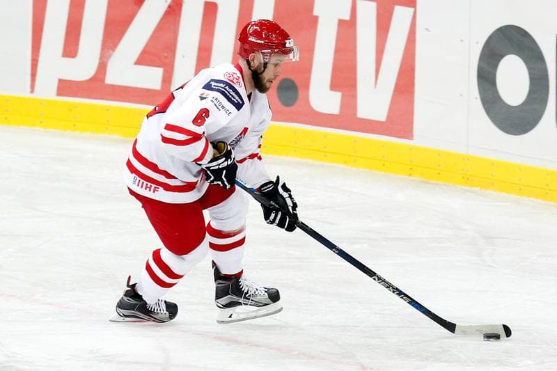 Ice Hockey. Friendly Match. Poland - Stars of PHL. 06.02.2016
