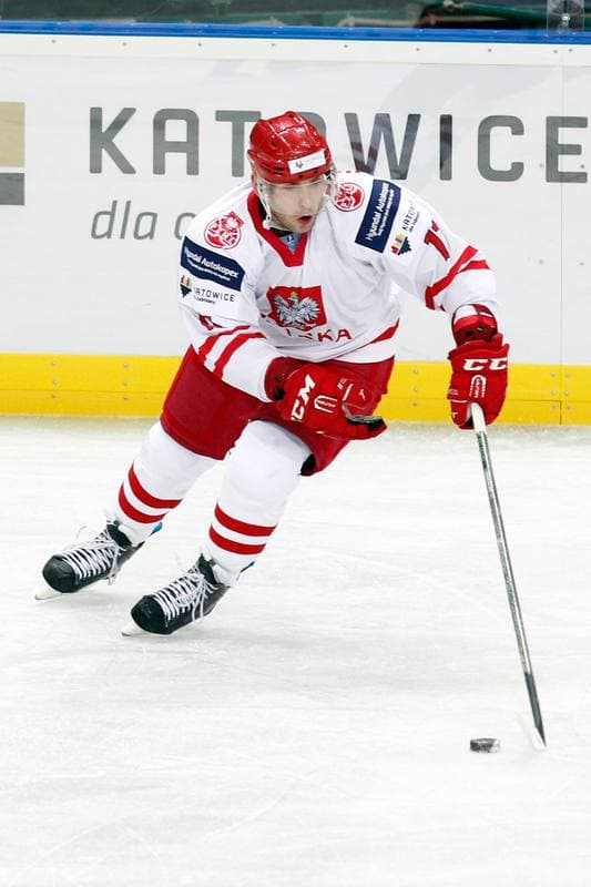 Ice Hockey. Friendly Match. Poland - Stars of PHL. 06.02.2016