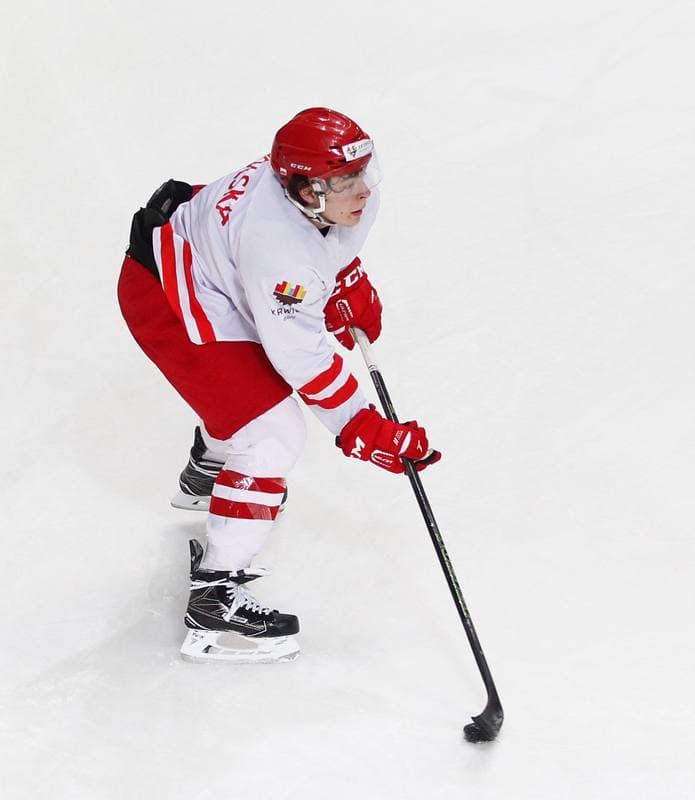 Ice Hockey. Poland national team. Training. 13.04.2016