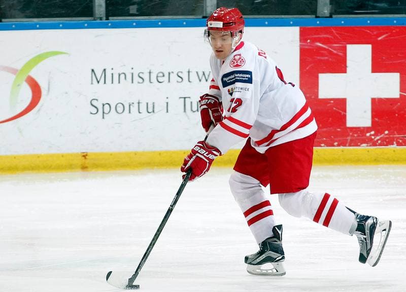 Ice Hockey. International Friendly Match. Poland - Lithuania. 14.04.2016