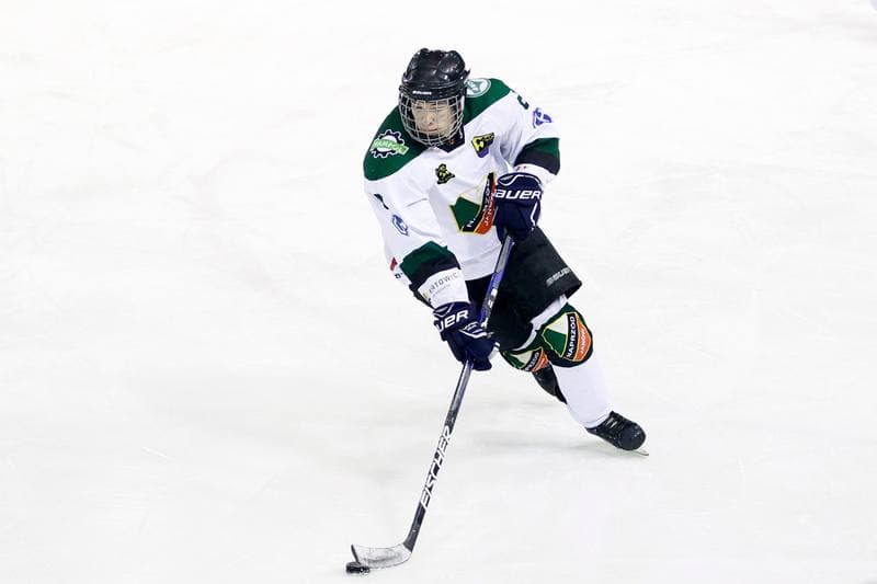 Ice Hockey. I Liga. Naprzod Janow - Zaglebie Sosnowiec. 22.01.2017