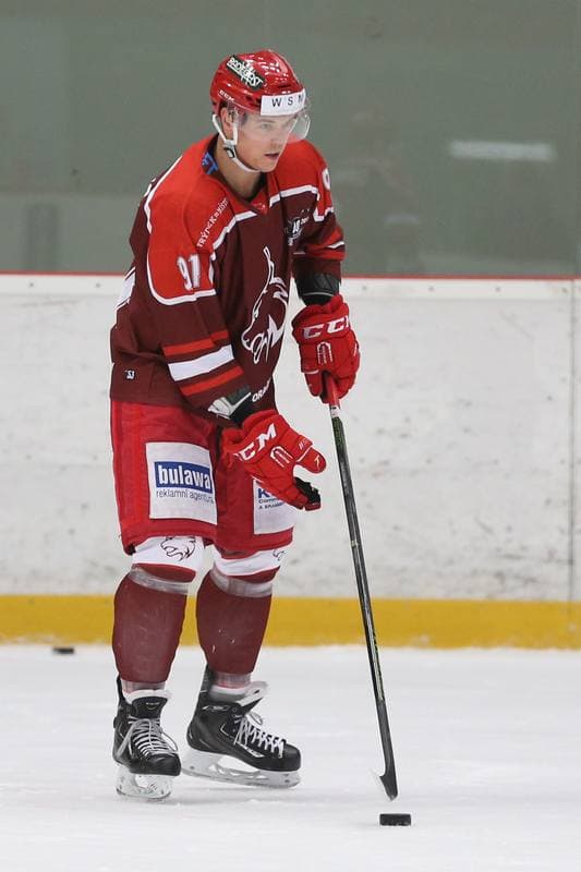 Ice Hockey. WSM Liga. HC Frydek-Mistek - HC Benatky nad Jizerou. 20.02.2017