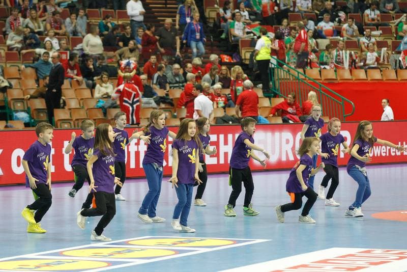 Handball. EHF Euro 2016. Belarus - Norway. 19.01.2016