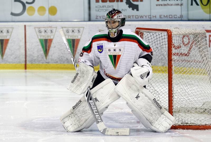 Ice Hockey. Polska Hokej Liga. GKS Tychy - Tatryski Podhale Nowy Targ. 01.03.2016