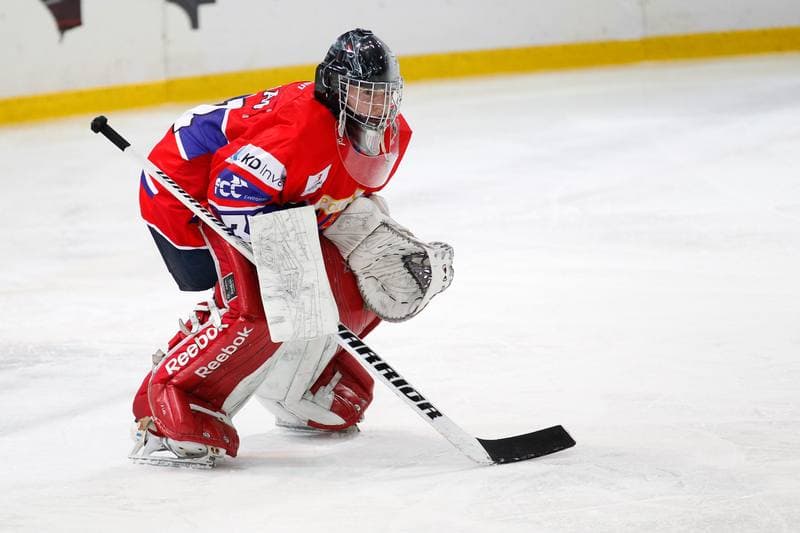 Ice Hockey. Polska Hokej Liga. GKS Katowice - Polonia Bytom. 18.10.2016
