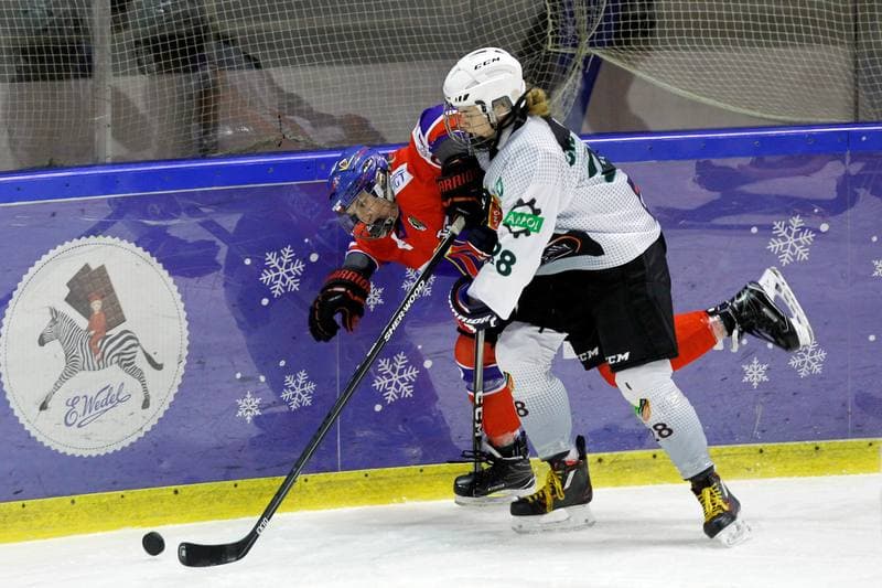 Ice Hockey. PLHK. Naprzod Janow - Polonia Bytom. 18.01.2018
