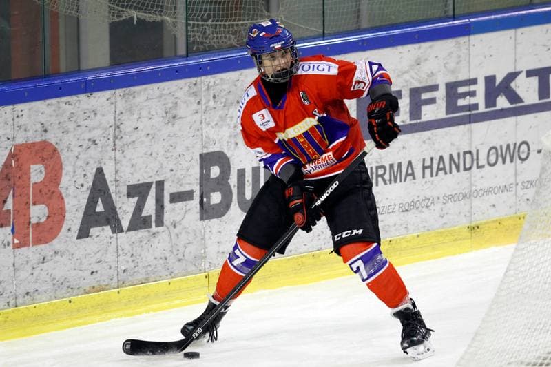 Ice Hockey. PLHK. Naprzod Janow - Polonia Bytom. 18.01.2018
