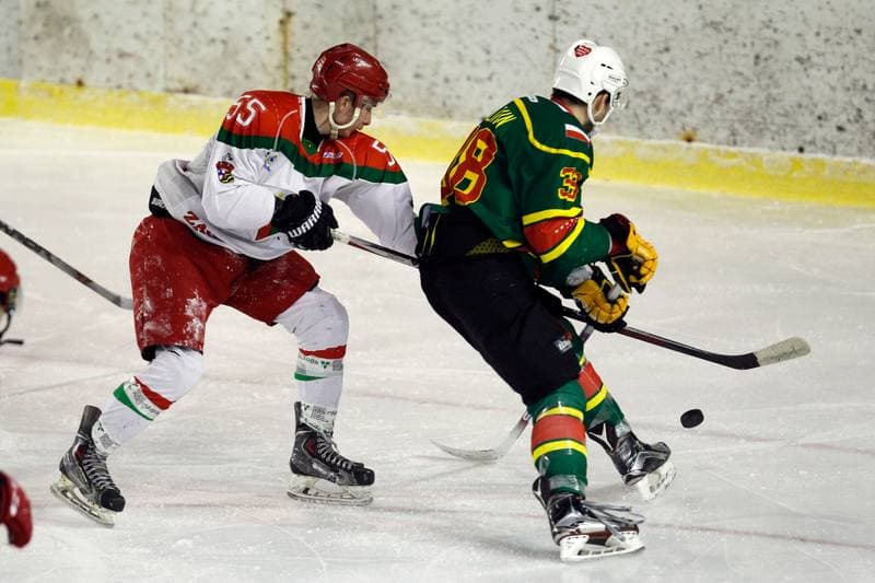 Ice Hockey. I Liga. Zaglebie Sosnowiec - Academy 1928 KTH Krynica. 10.02.2018