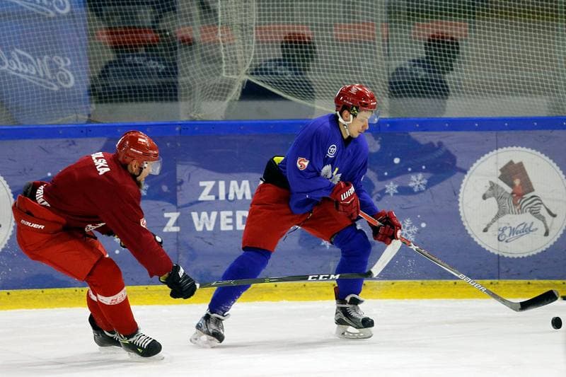 Ice Hockey. Poland national team. Training. 13.02.2018