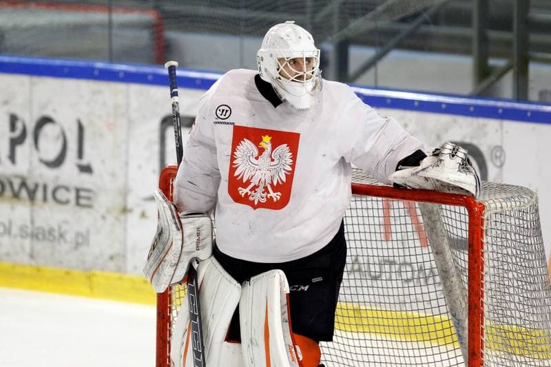 Ice Hockey. Poland national team. Training. 13.02.2018