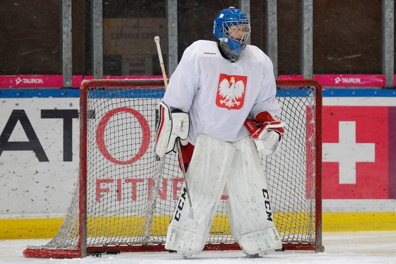 Ice Hockey. Poland national team. Training. 15.02.2018