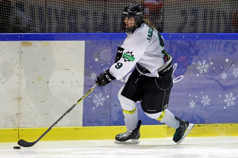 Ice Hockey. PLHK. Naprzod Janow - Polonia Bytom. 24.02.2018