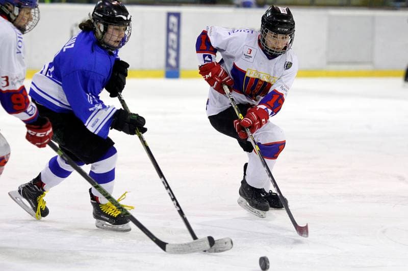 Ice Hockey. PLHK. Polonia Bytom - Stoczniowiec Gdansk. 17.03.2018