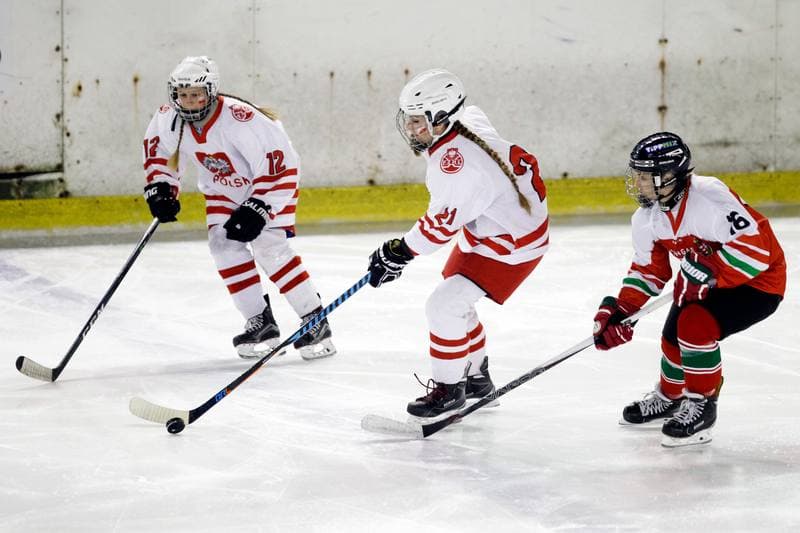 Ice Hockey. Women's U18 Championship. Poland - Hungary. 11.11.2018