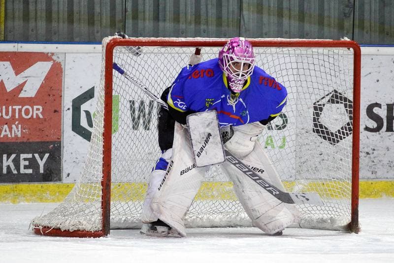 Ice Hockey. Polska Hokej Liga. Weglokoks Kraj Polonia Bytom - PGE Orlik Opole. 27.11.2018