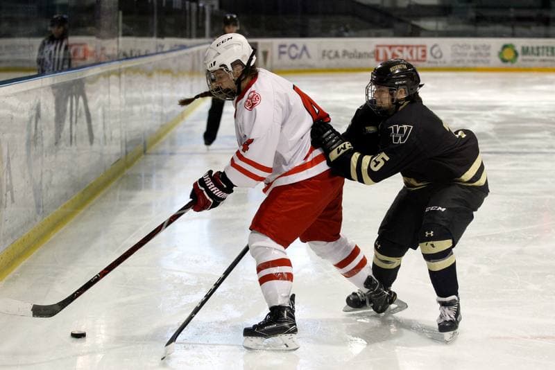 Ice Hockey. Women's Friendly Match. Poland - Washington Pride Hockey. 30.12.2018
