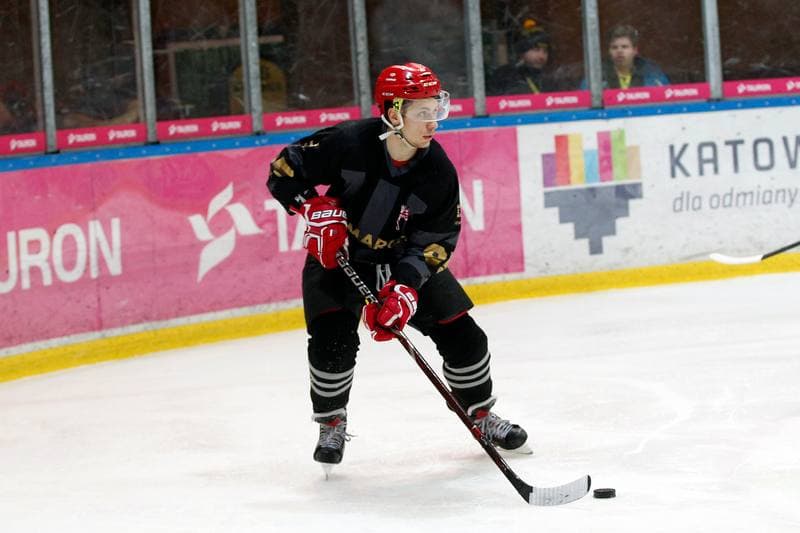 Ice Hockey. Tauron Hokej Liga. Tauron KH GKS Katowice - Comarch Cracovia. 17.01.2019